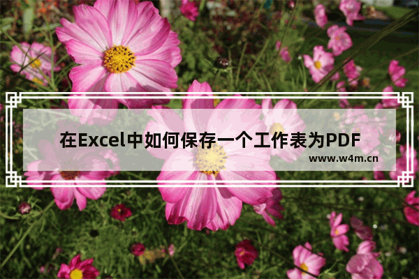 在Excel中如何保存一个工作表为PDF？