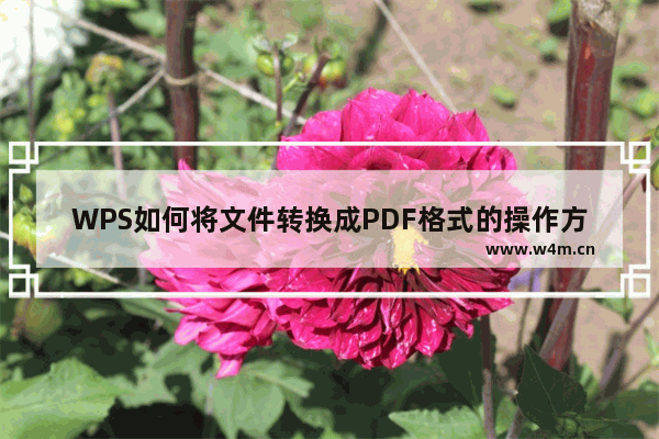 WPS如何将文件转换成PDF格式的操作方法教学