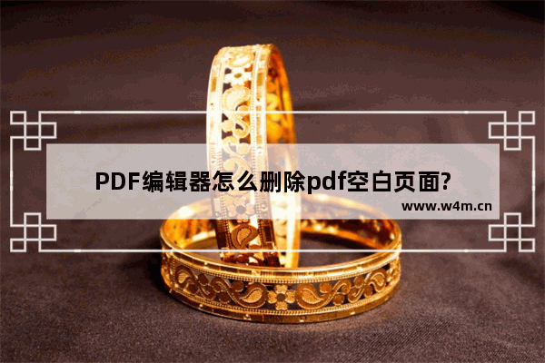 PDF编辑器怎么删除pdf空白页面?