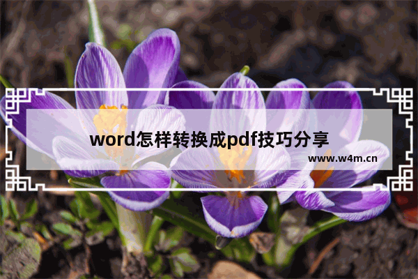 word怎样转换成pdf技巧分享