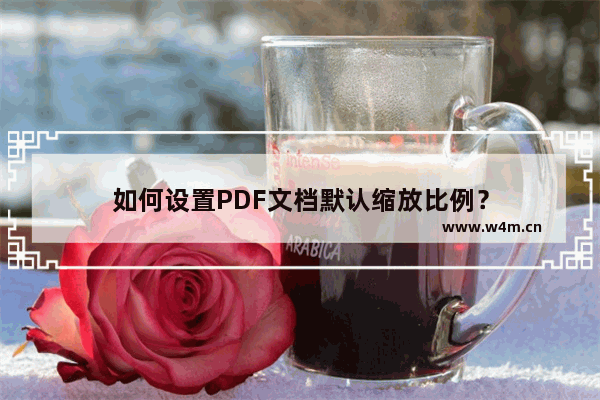 如何设置PDF文档默认缩放比例？