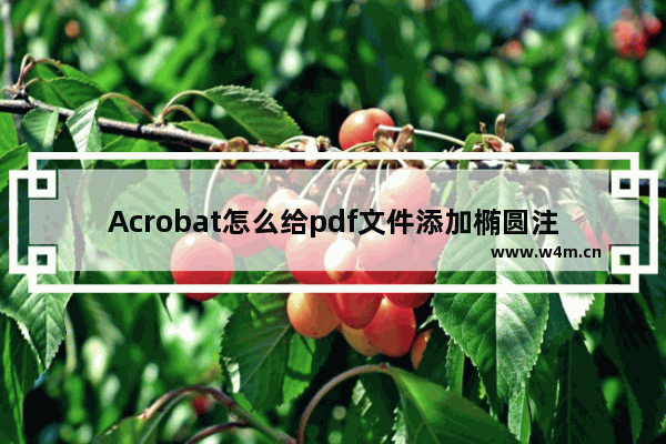 Acrobat怎么给pdf文件添加椭圆注释?