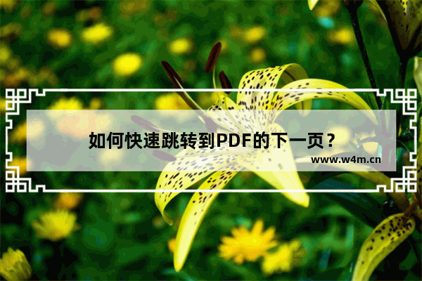 如何快速跳转到PDF的下一页？