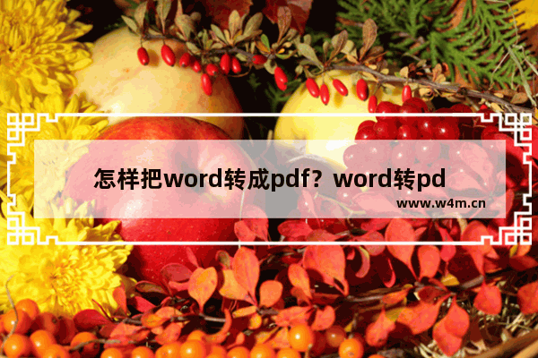 怎样把word转成pdf？word转pdf最新教程图文分享