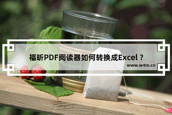 福昕PDF阅读器如何转换成Excel ?转换成Excel的方法-