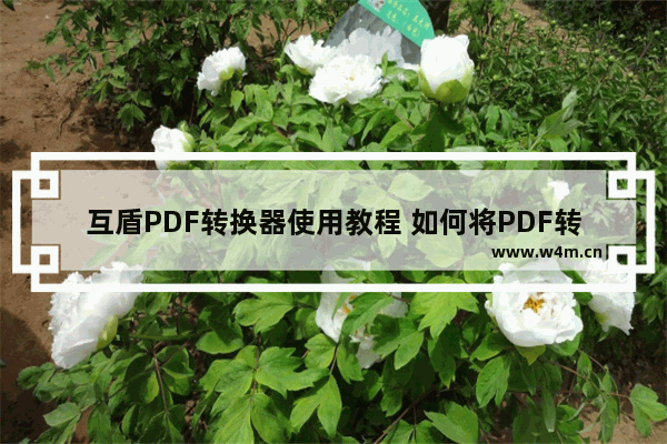 互盾PDF转换器使用教程 如何将PDF转换成Excel文档