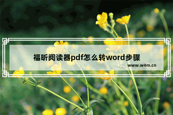 福昕阅读器pdf怎么转word步骤