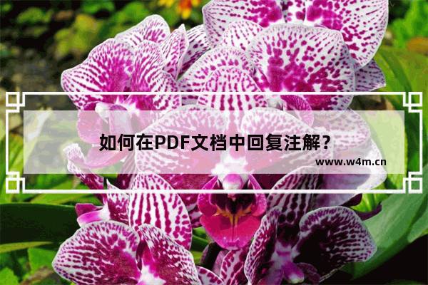 如何在PDF文档中回复注解？