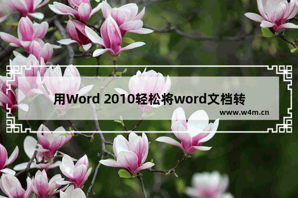 用Word 2010轻松将word文档转换为PDF文档