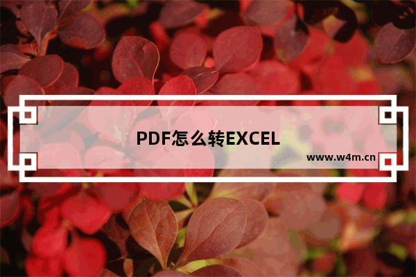 PDF怎么转EXCEL