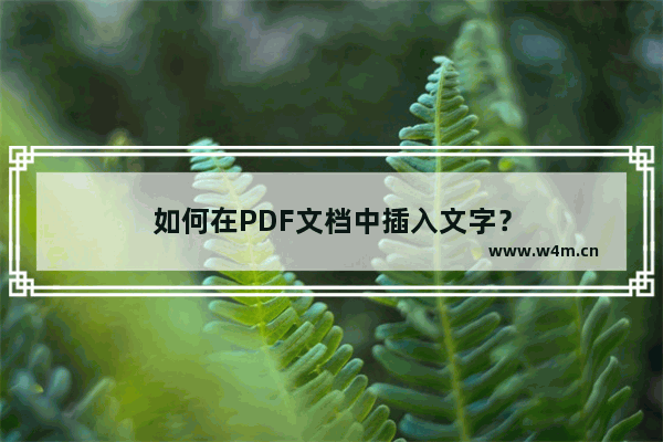 如何在PDF文档中插入文字？