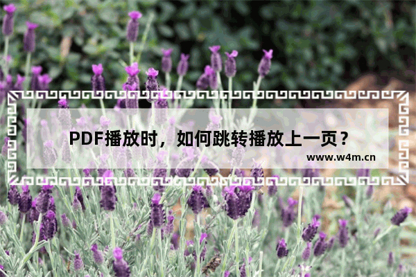 PDF播放时，如何跳转播放上一页？