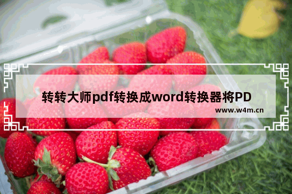 转转大师pdf转换成word转换器将PDF转为CAD的方法