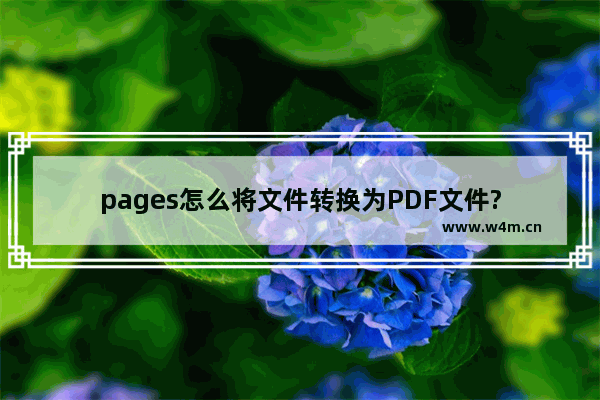 pages怎么将文件转换为PDF文件?