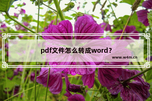 pdf文件怎么转成word？