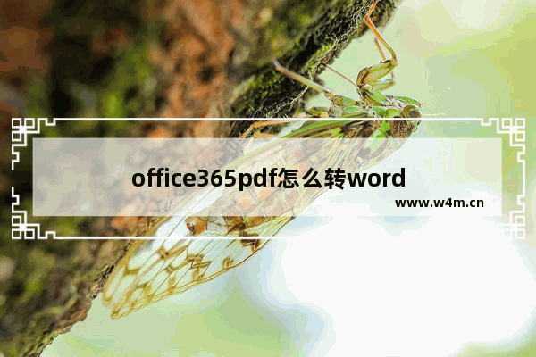 office365pdf怎么转word