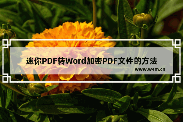 迷你PDF转Word加密PDF文件的方法步骤