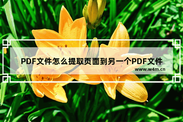 PDF文件怎么提取页面到另一个PDF文件中？