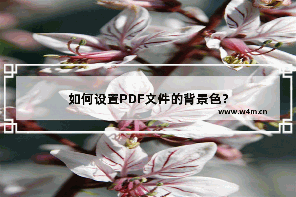 如何设置PDF文件的背景色？