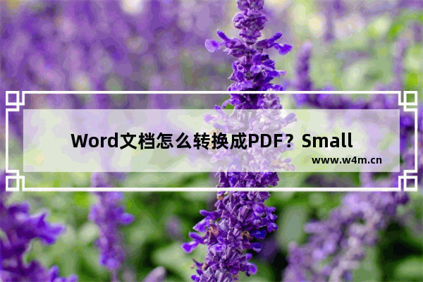 Word文档怎么转换成PDF？SmallPDF转换器轻松帮助你！