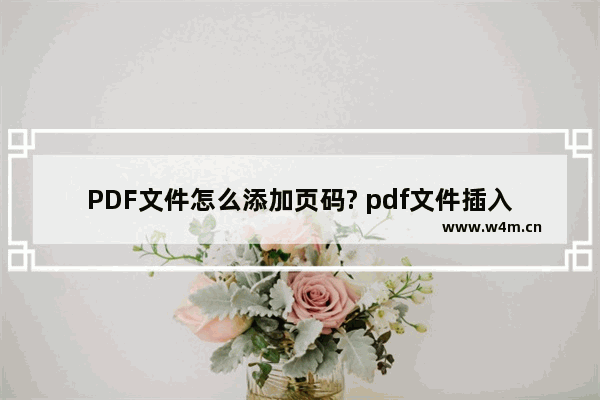 PDF文件怎么添加页码? pdf文件插入页码的教程