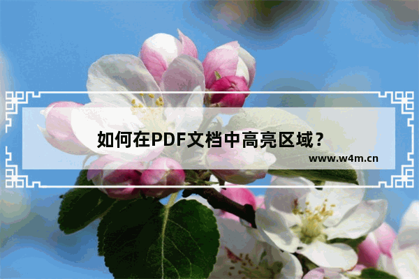 如何在PDF文档中高亮区域？