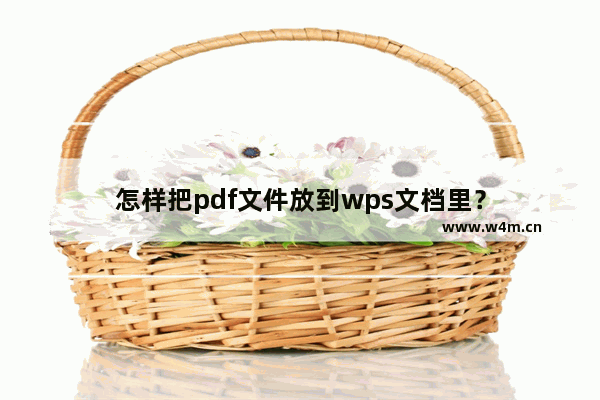 怎样把pdf文件放到wps文档里？