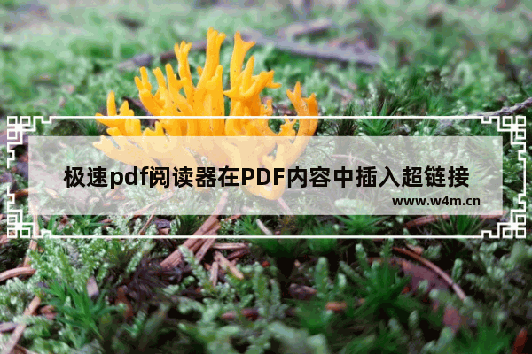 极速pdf阅读器在PDF内容中插入超链接