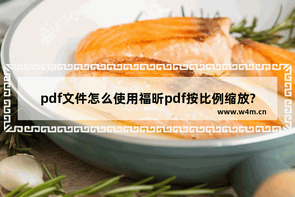 pdf文件怎么使用福昕pdf按比例缩放?