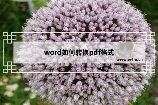 word如何转换pdf格式