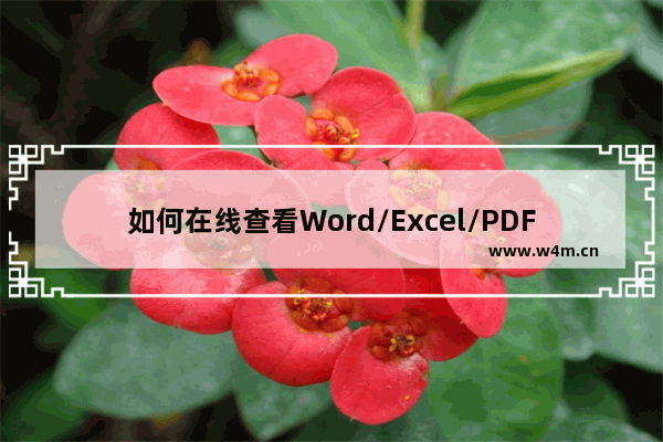 如何在线查看Word/Excel/PDF文档