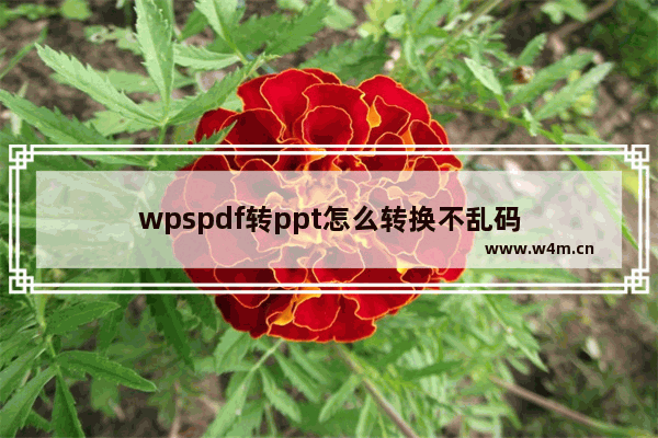 wpspdf转ppt怎么转换不乱码