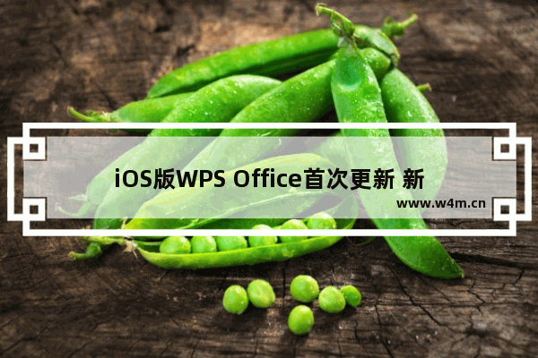 iOS版WPS Office首次更新 新增PDF阅读等多项功能