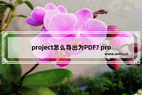 project怎么导出为PDF? project转PDF的技巧