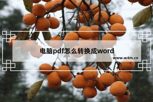 电脑pdf怎么转换成word