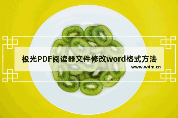 极光PDF阅读器文件修改word格式方法介绍