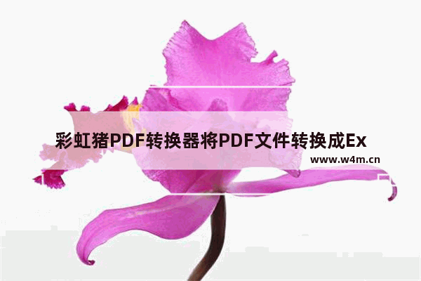 彩虹猪PDF转换器将PDF文件转换成Excel的方法