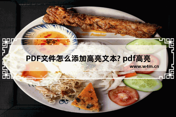 PDF文件怎么添加高亮文本? pdf高亮文本的方法