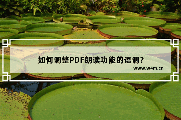 如何调整PDF朗读功能的语调？