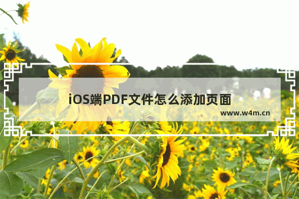 iOS端PDF文件怎么添加页面