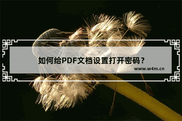 如何给PDF文档设置打开密码？