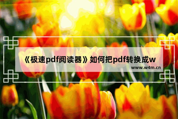 《极速pdf阅读器》如何把pdf转换成word