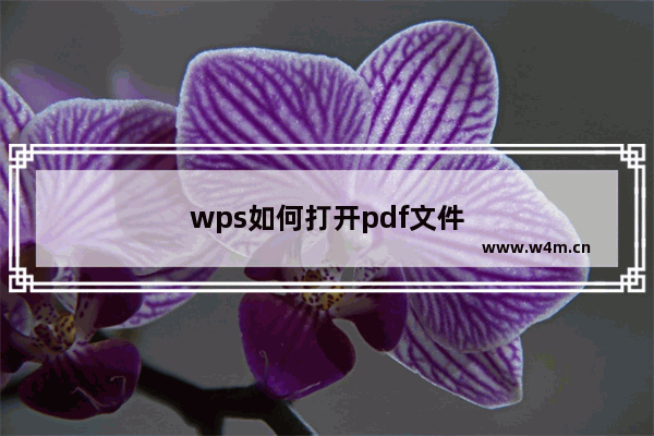 wps如何打开pdf文件