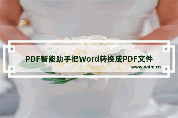 PDF智能助手把Word转换成PDF文件的方法