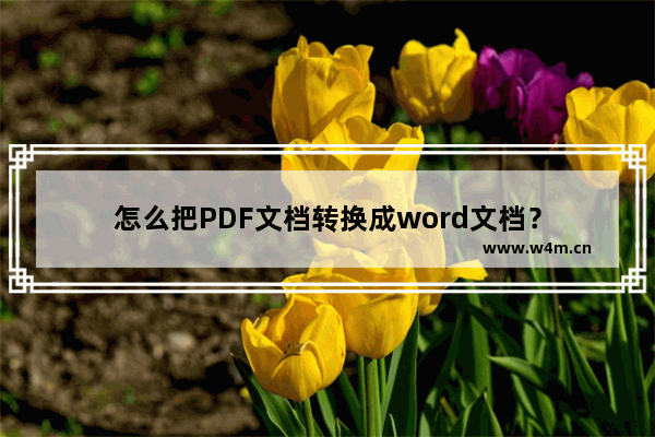 怎么把PDF文档转换成word文档？