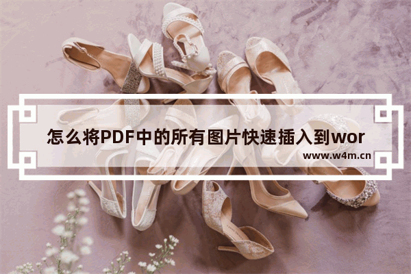 怎么将PDF中的所有图片快速插入到word