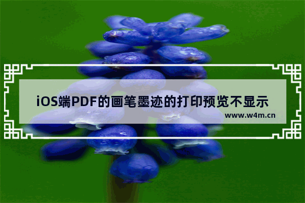 iOS端PDF的画笔墨迹的打印预览不显示，也打印不出来