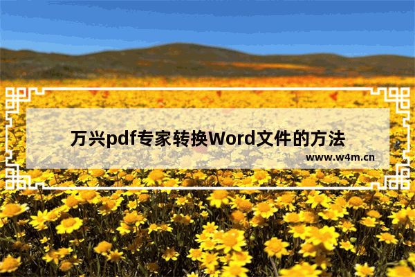 万兴pdf专家转换Word文件的方法