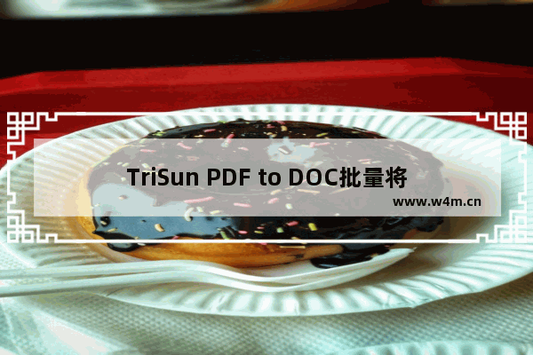 TriSun PDF to DOC批量将PDF转换成Word文件的方法