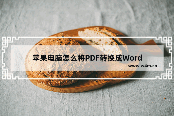 苹果电脑怎么将PDF转换成Word